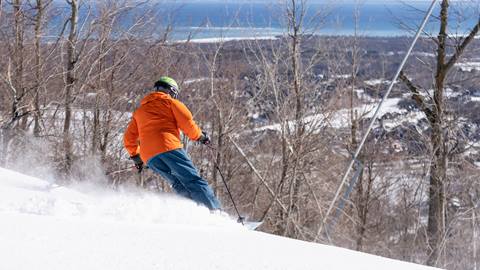 On Hill Skier